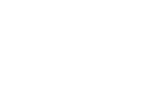 Bumble Bee