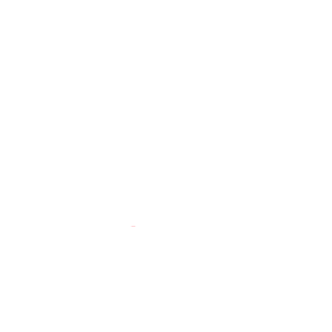 Publicis Sapient